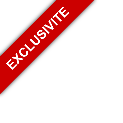 bandeau Agence Immobilière du Château